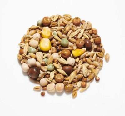 Stock Bird mix