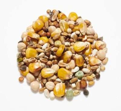 Super Widowhood mix