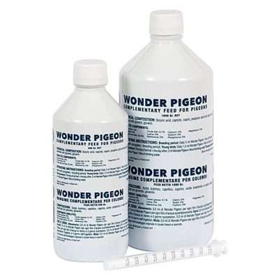 Harkers Wonder Pigeon