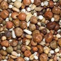 Bamfords Breed Wean