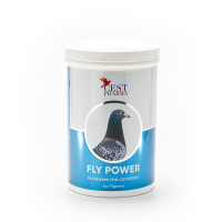 Cest fly power powder