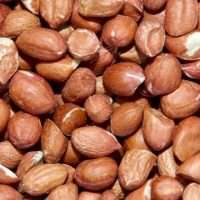 Red skin Peanuts