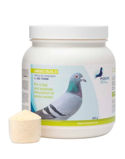 Amino Build Pigeon Health & Performance
