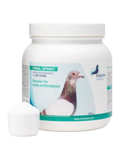 Pigeon Health Performance Final Sprint